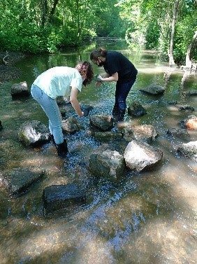 Les élèves de 208 participent au projet de la fondation Tara Océan